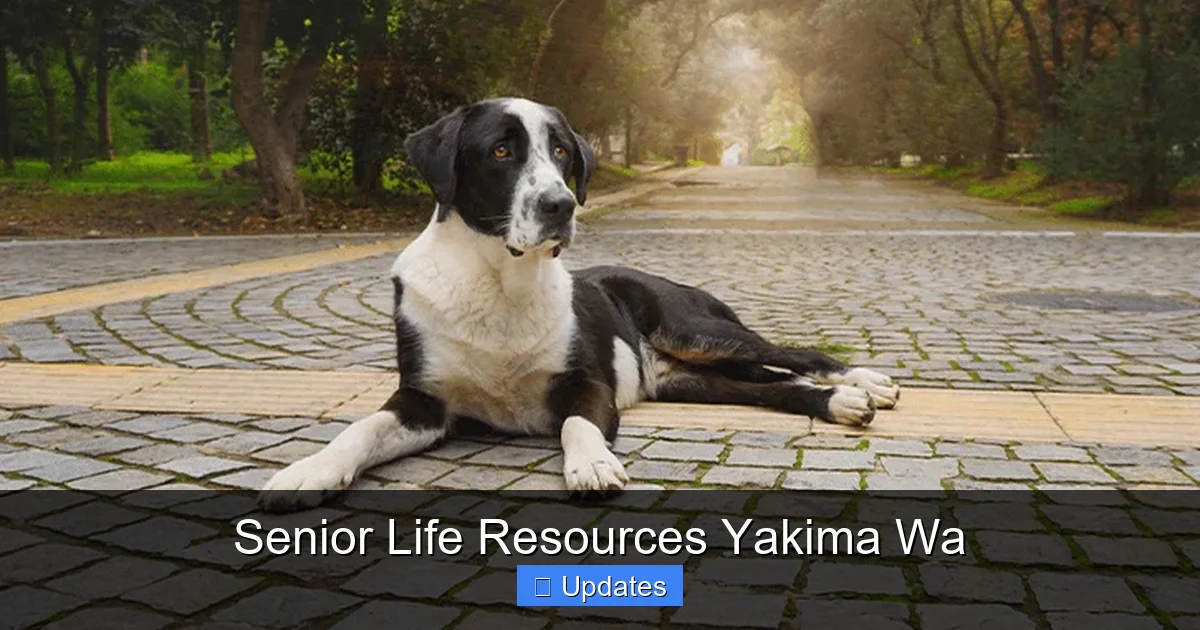Senior Life Resources Yakima Wa