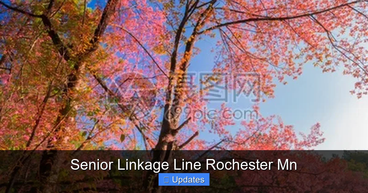 Senior Linkage Line Rochester Mn