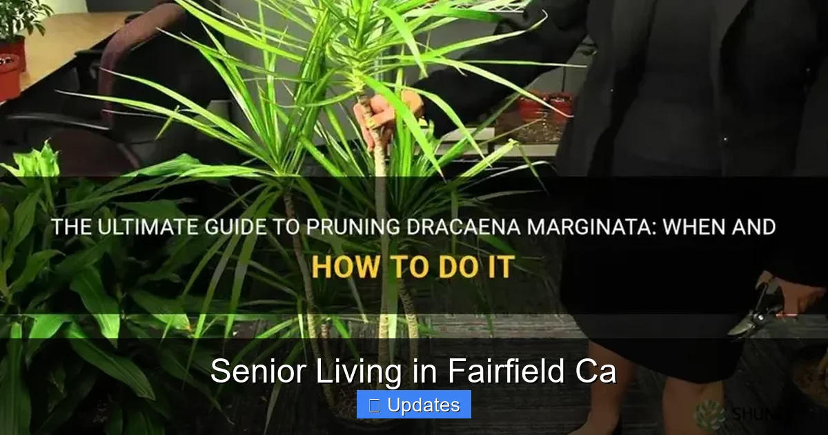 Senior Living in Fairfield Ca
