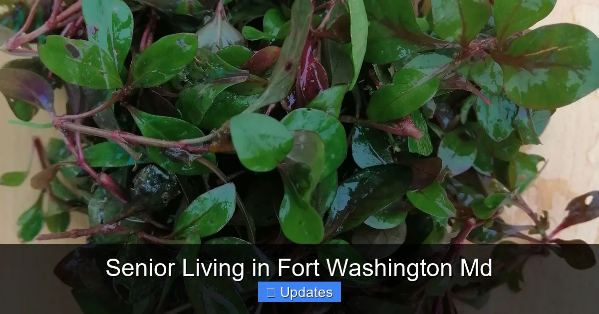 Senior Living in Fort Washington Md