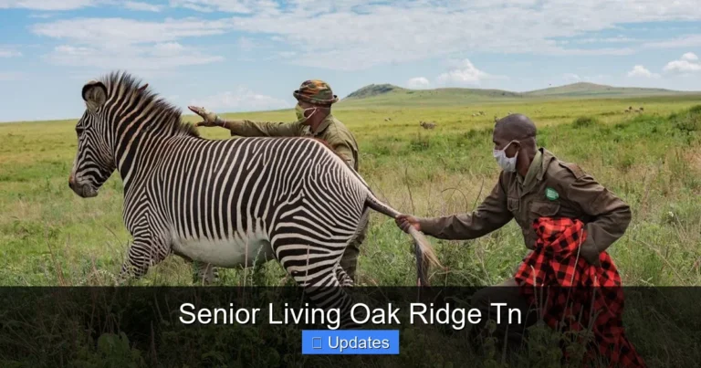 Senior Living Oak Ridge Tn