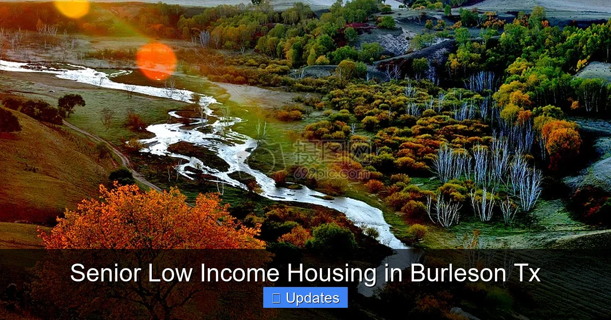 Senior Low Income Housing in Burleson Tx