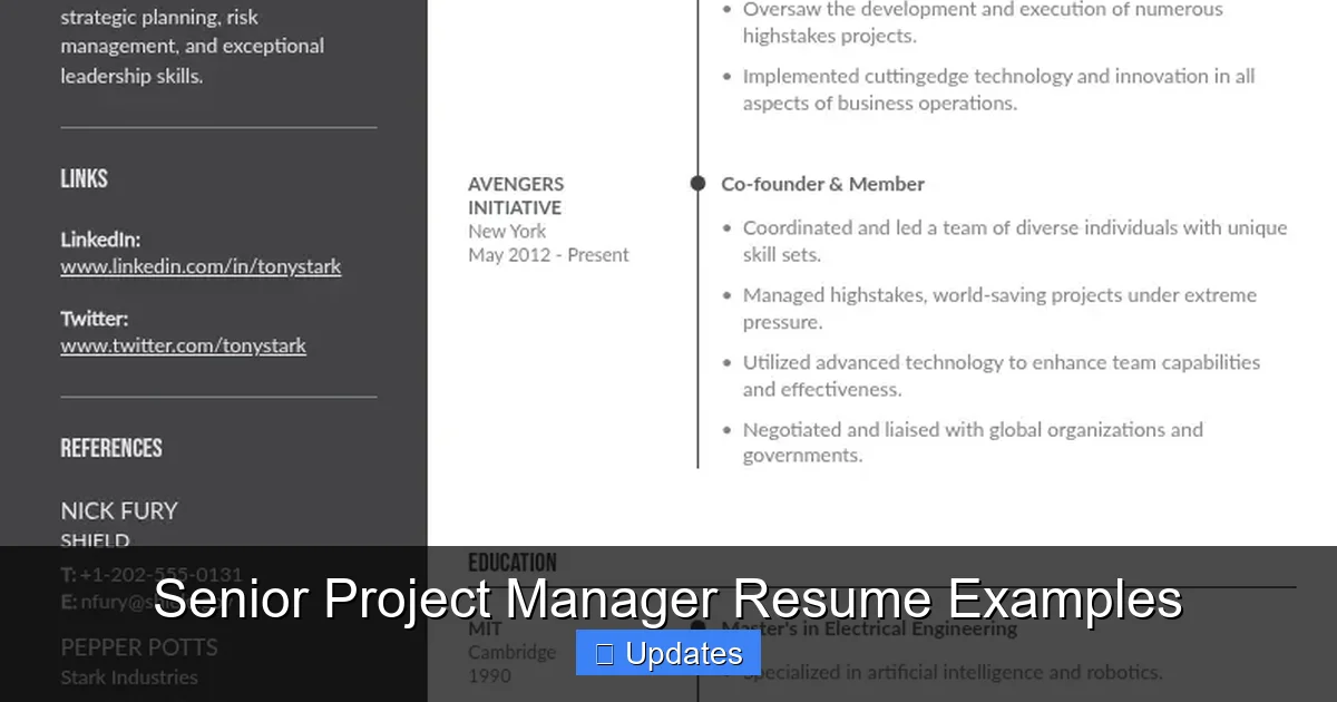 Senior Project Manager Resume Examples - SeniorsProTalk