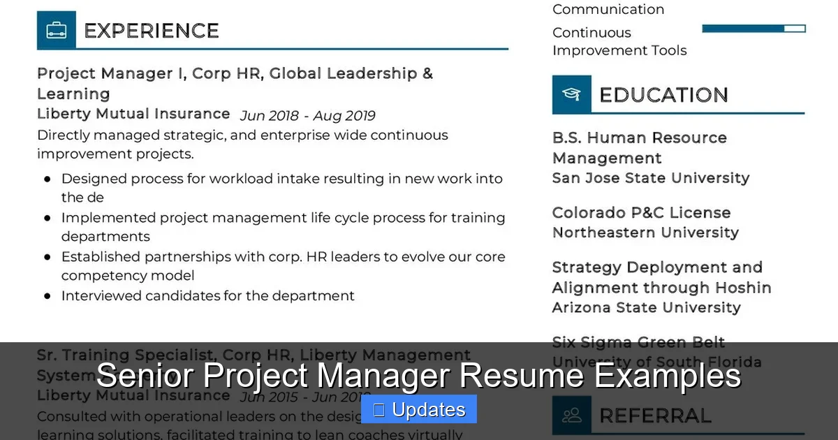 Senior Project Manager Resume Examples - SeniorsProTalk