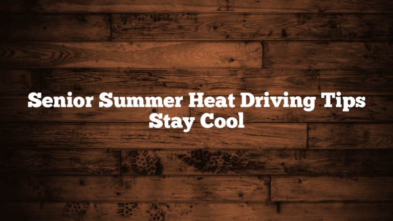 Senior Summer Heat Driving Tips Stay Cool