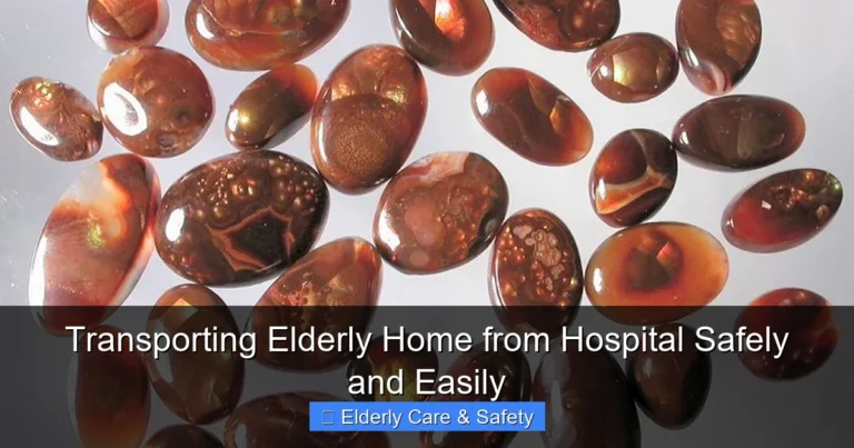 Transporting Elderly Home from Hospital Safely and Easily