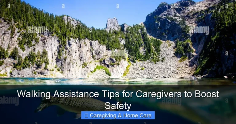 Walking Assistance Tips for Caregivers to Boost Safety