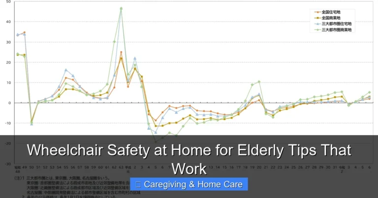 Wheelchair Safety at Home for Elderly Tips That Work