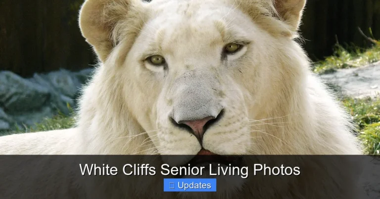 White Cliffs Senior Living Photos