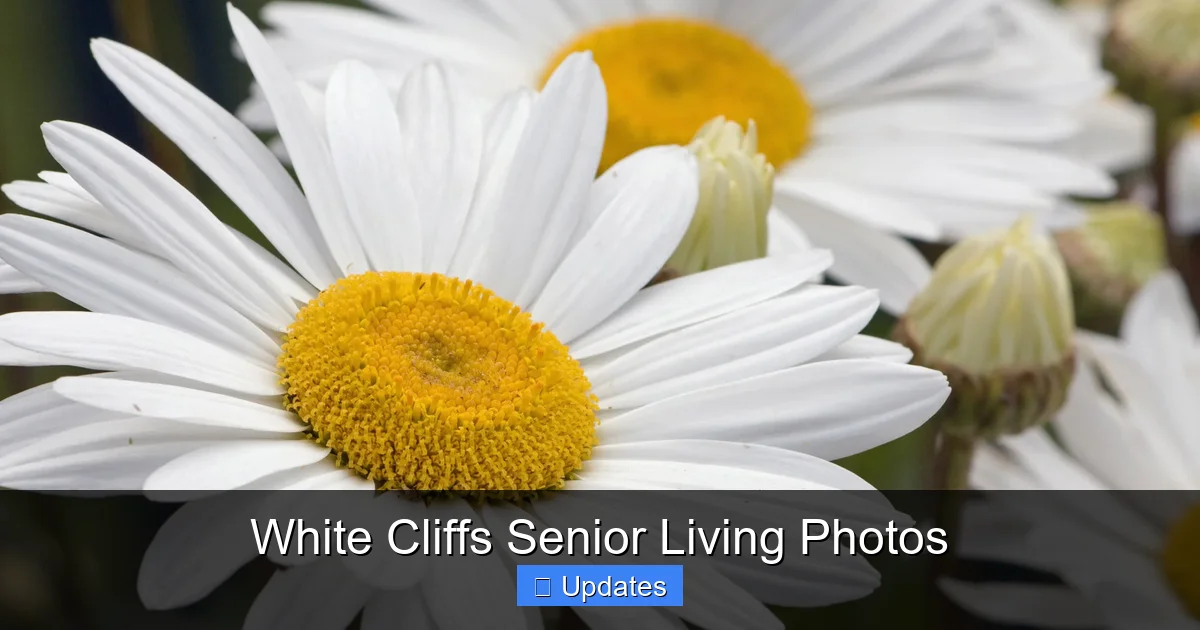 White Cliffs Senior Living Photos