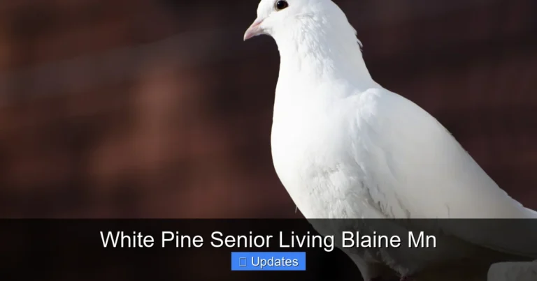 White Pine Senior Living Blaine Mn