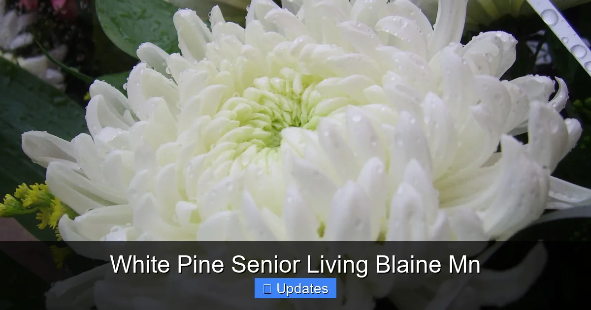 White Pine Senior Living Blaine Mn