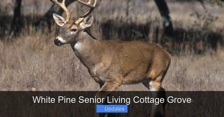 White Pine Senior Living Cottage Grove