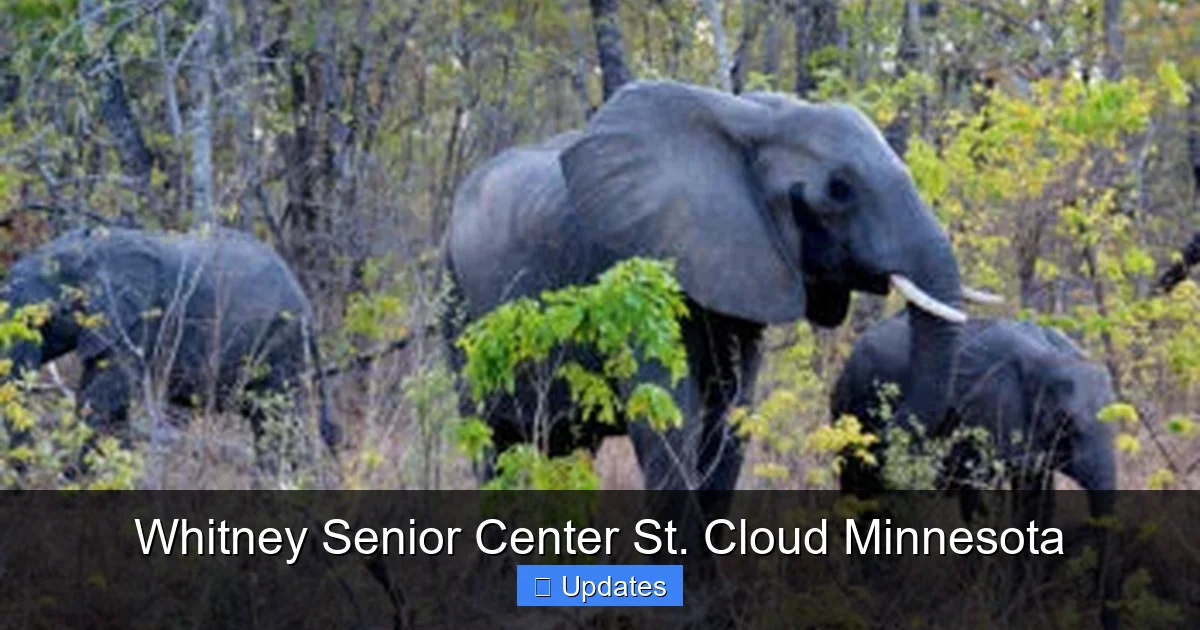 Whitney Senior Center St. Cloud Minnesota