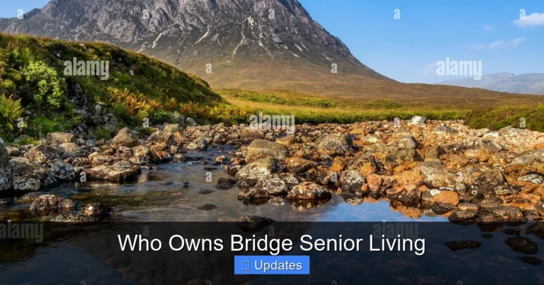 Who Owns Bridge Senior Living