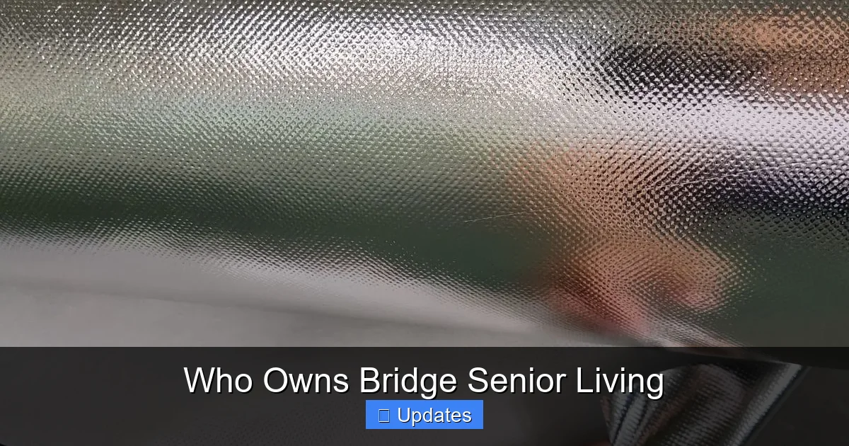 Who Owns Bridge Senior Living