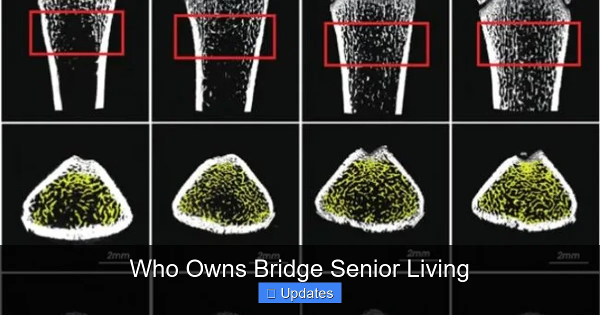 Who Owns Bridge Senior Living