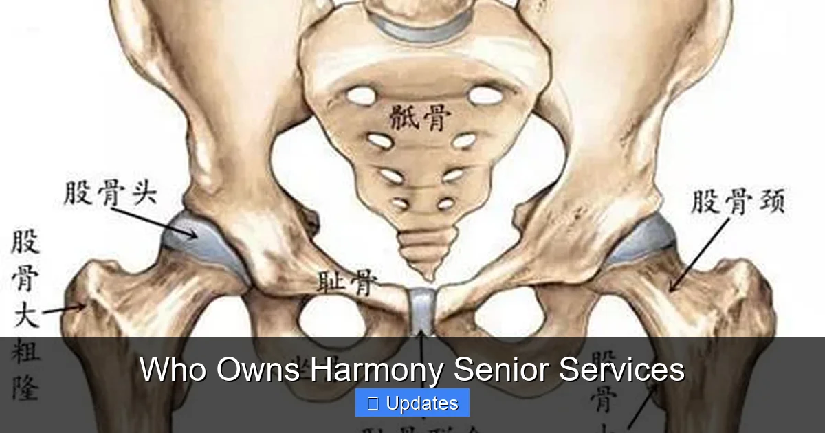 Who Owns Harmony Senior Services