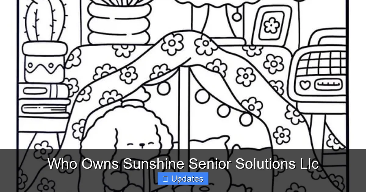 Who Owns Sunshine Senior Solutions Llc