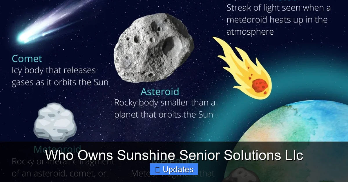 Who Owns Sunshine Senior Solutions Llc