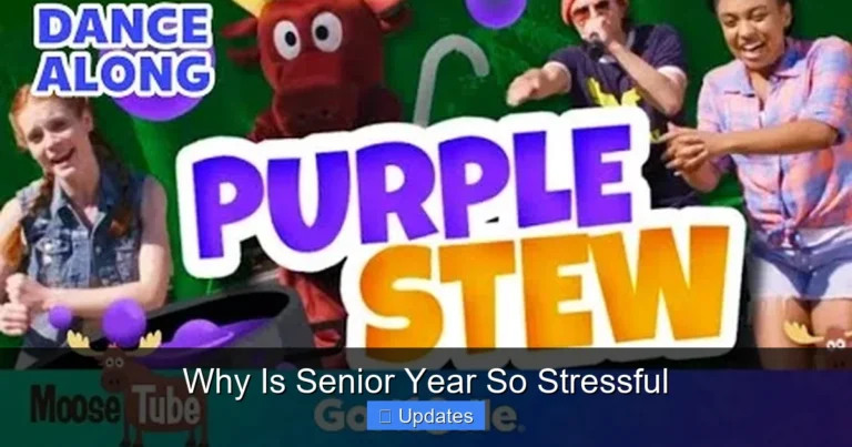 Why Is Senior Year So Stressful