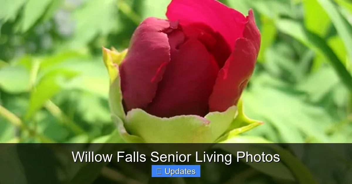 Willow Falls Senior Living Photos