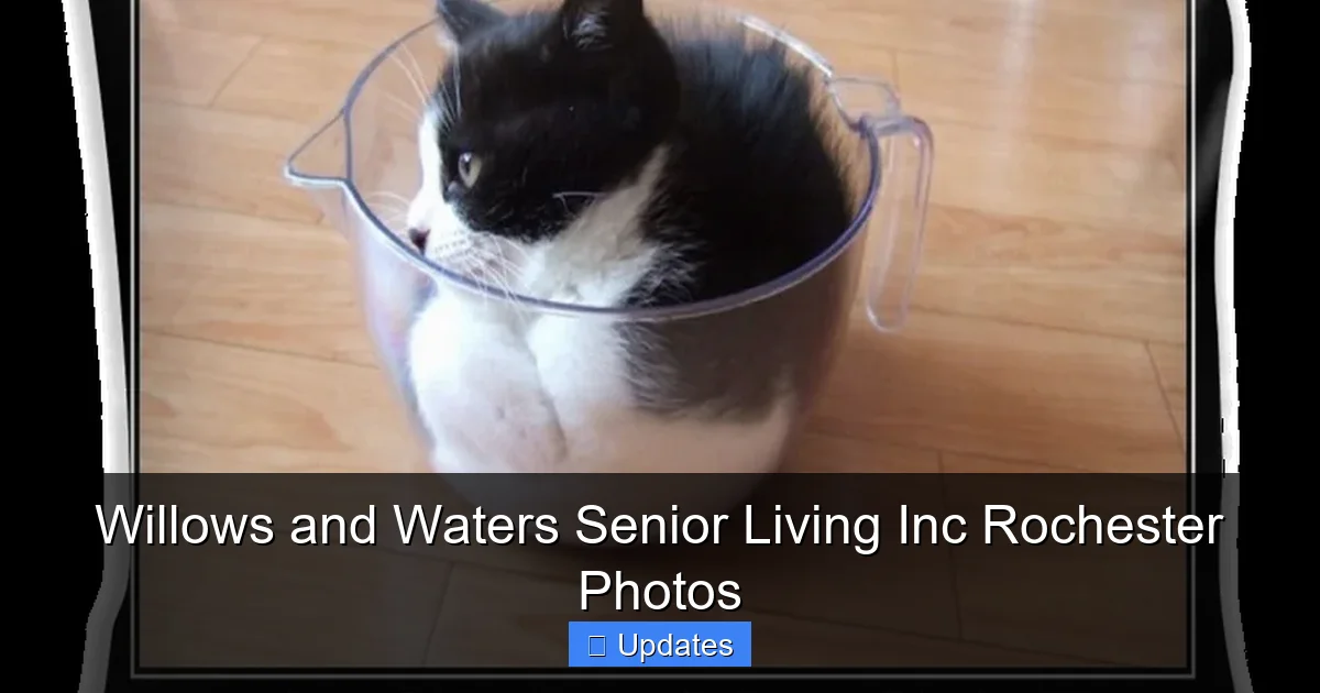Willows and Waters Senior Living Inc Rochester Photos