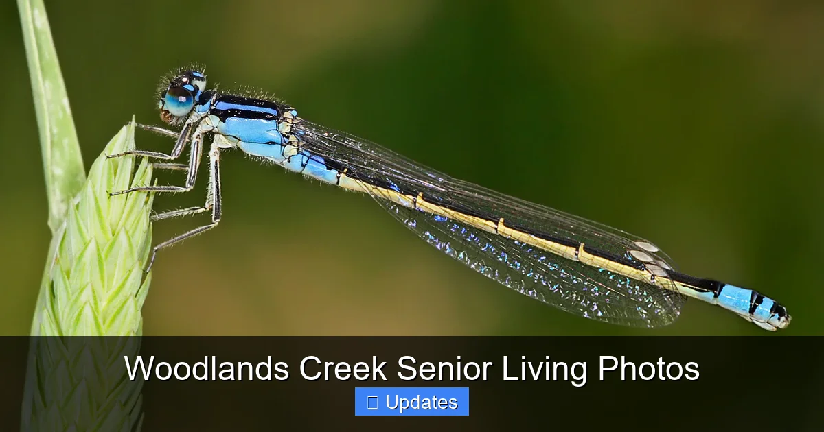 Woodlands Creek Senior Living Photos