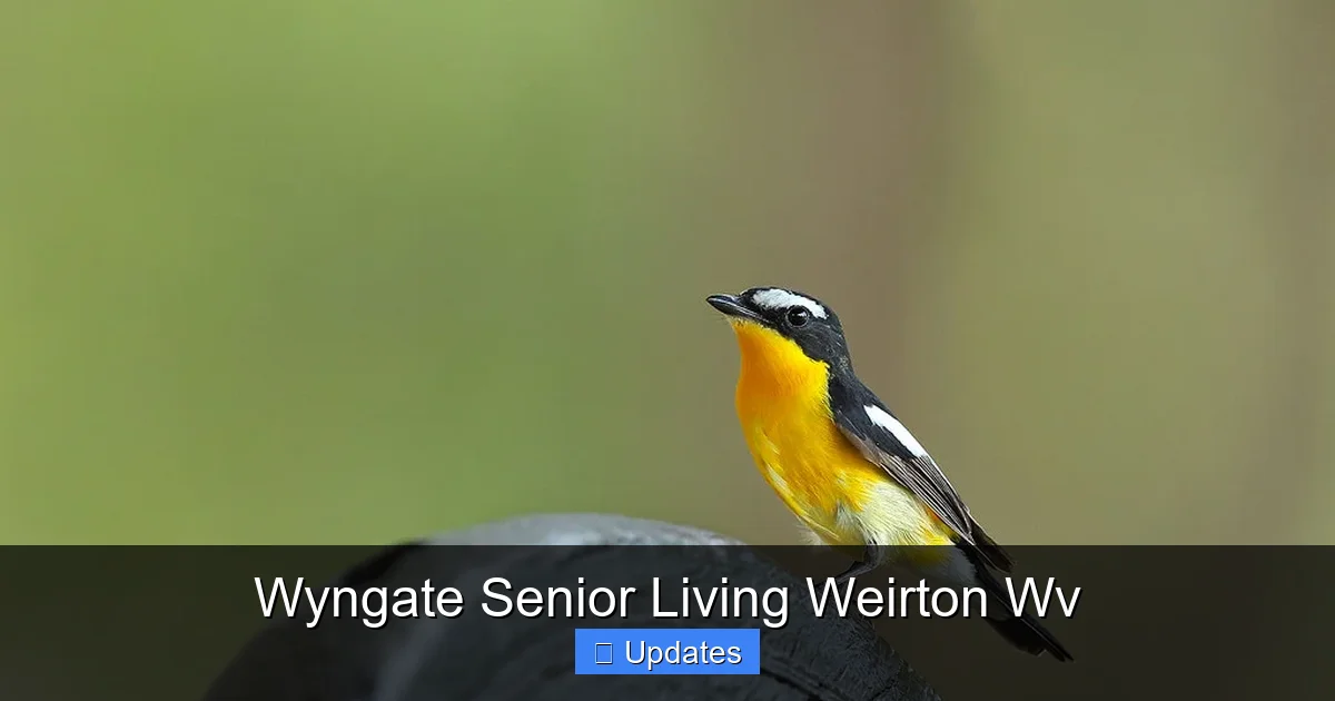 Wyngate Senior Living Weirton Wv