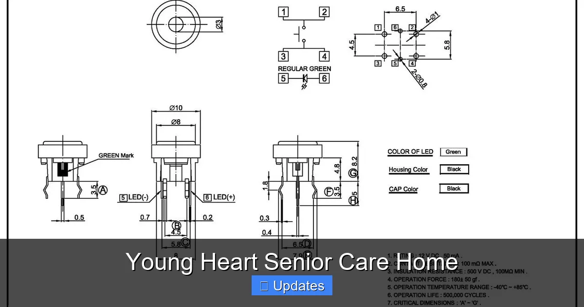 Young Heart Senior Care Home