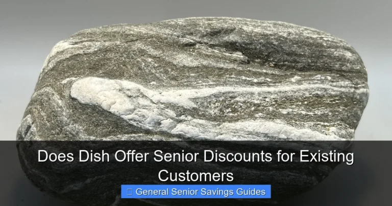 Does Dish Offer Senior Discounts for Existing Customers