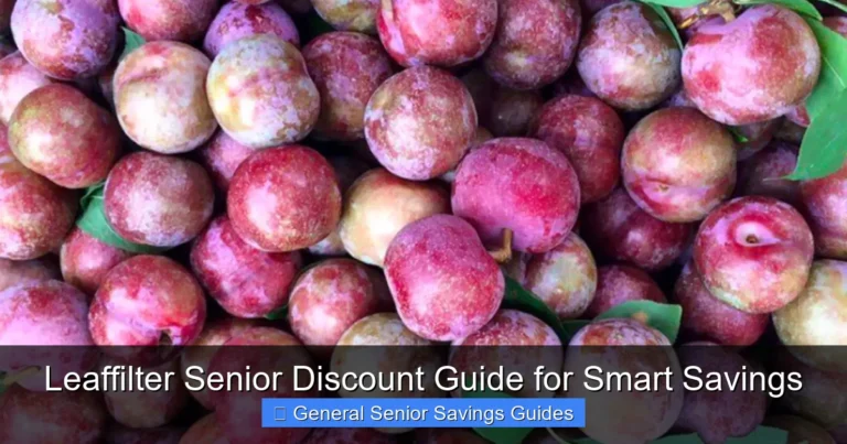 Leaffilter Senior Discount Guide for Smart Savings