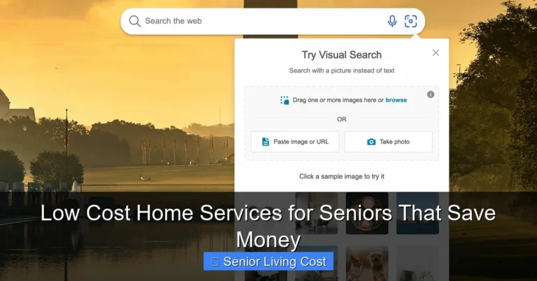 Low Cost Home Services for Seniors That Save Money