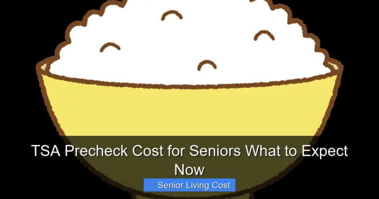 TSA Precheck Cost for Seniors What to Expect Now
