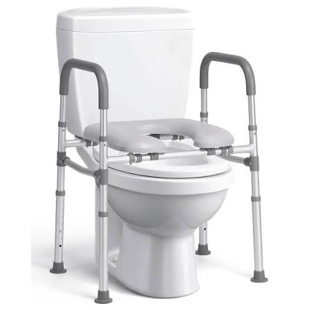 Raised Toilet Seat